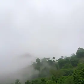 neblina intensa Anhanguera-Bandeirantes