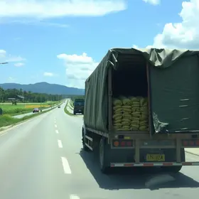 carreta carregada com arroz
