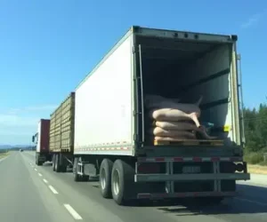 caminhão tomba na Rodovia dos Bandeirantes
